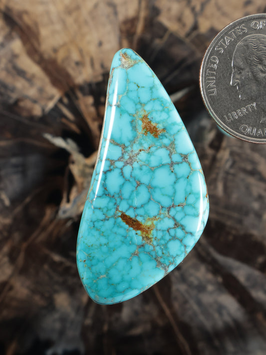 Moon River turquoise teardrop cabochon with gold-brown matrix veining, N783