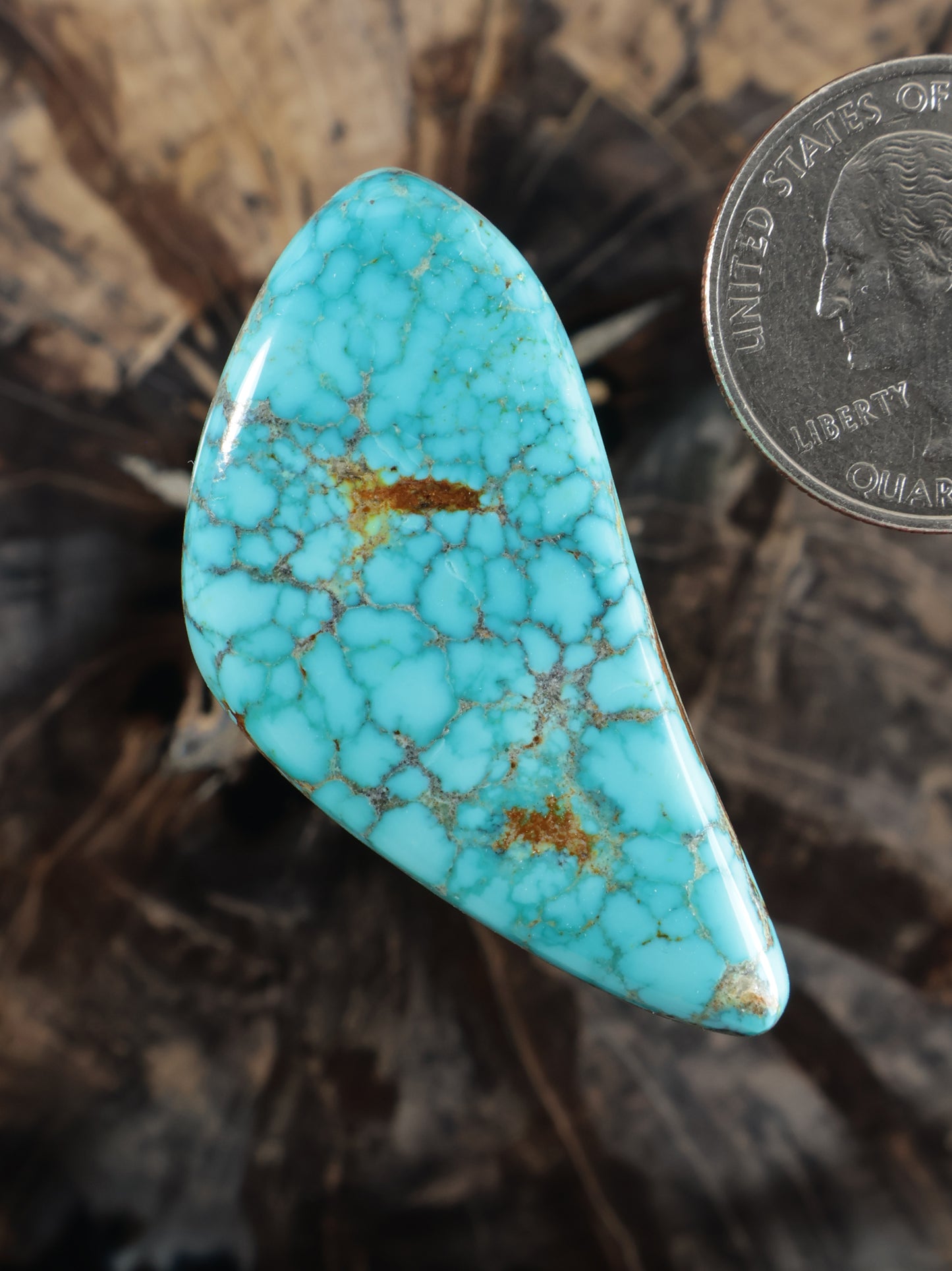 Moon River turquoise teardrop cabochon with gold-brown veining, angled view, N783