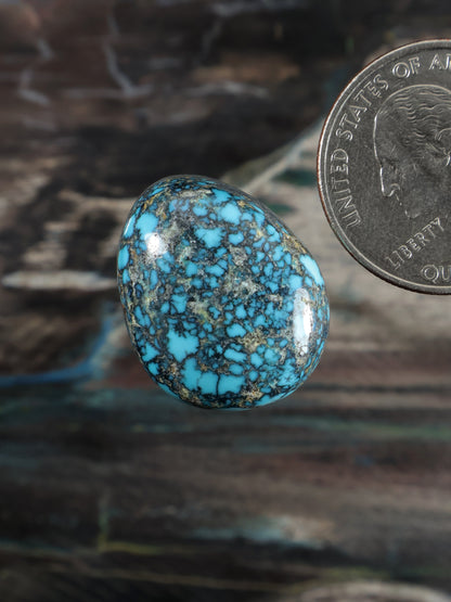 Oval turquoise cabochon gemstone with mottled webbed matrix and smooth silver edge