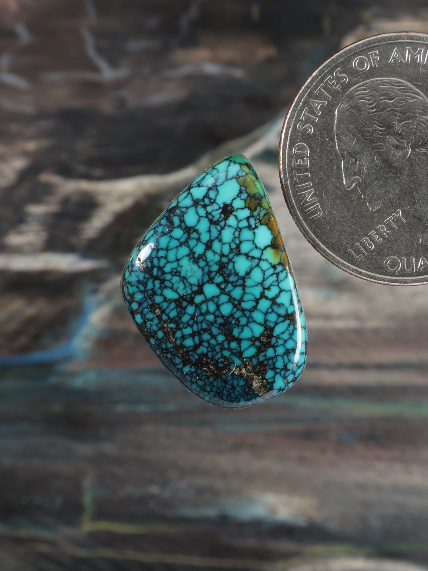 Turquoise teardrop cabochon with dark webbed matrix detail