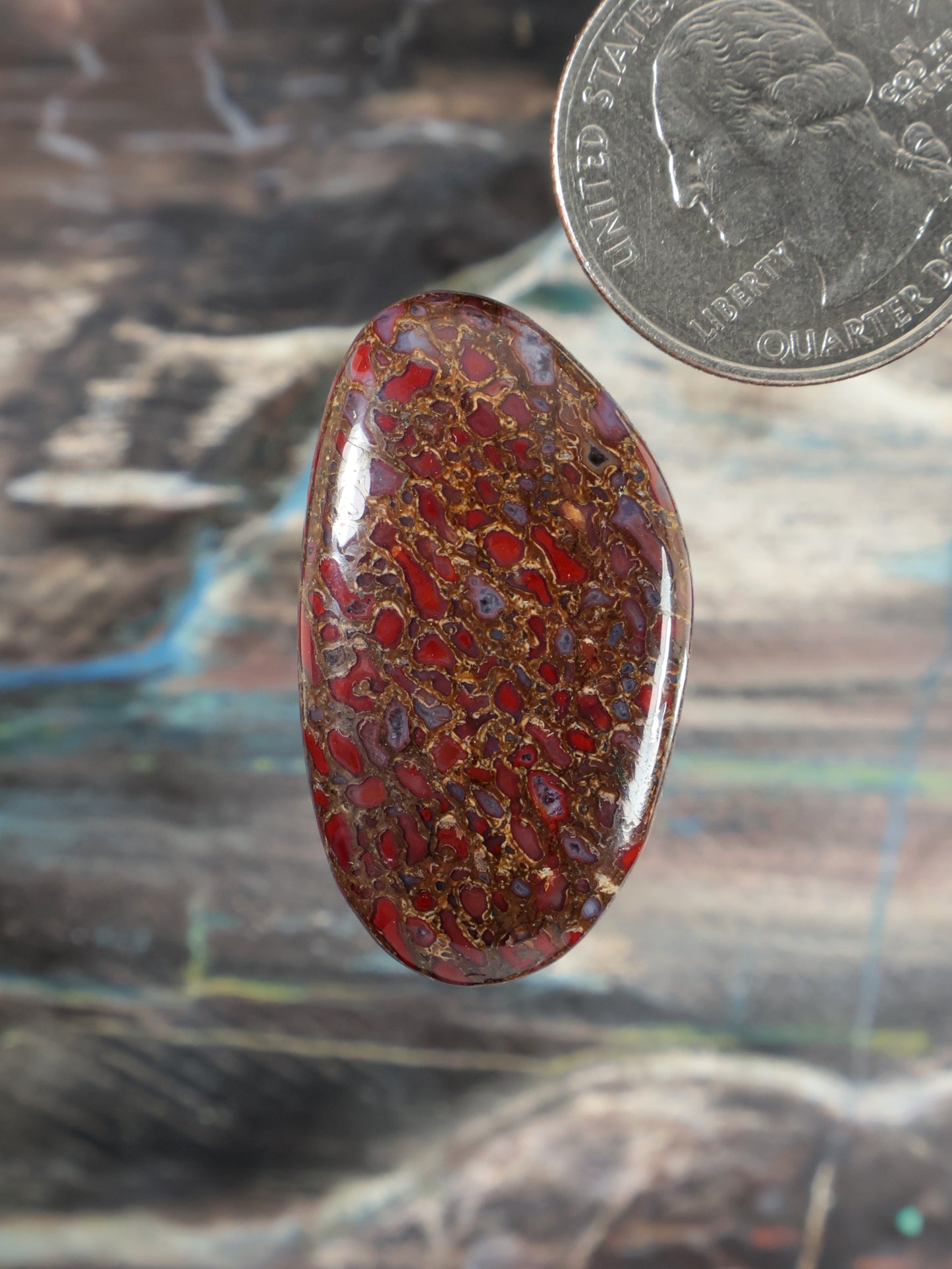 Dinosaur gembone cabochon, oval red stone with gold web pattern
