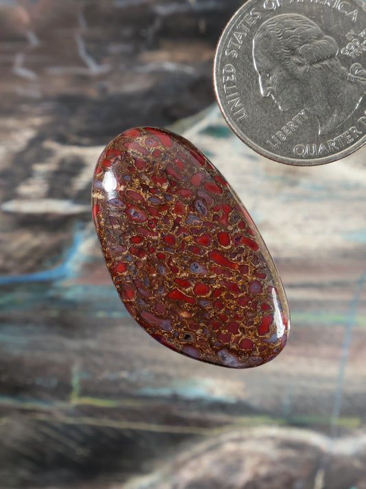 Dinosaur gembone cabochon, angled oval red cabochon with gold pattern