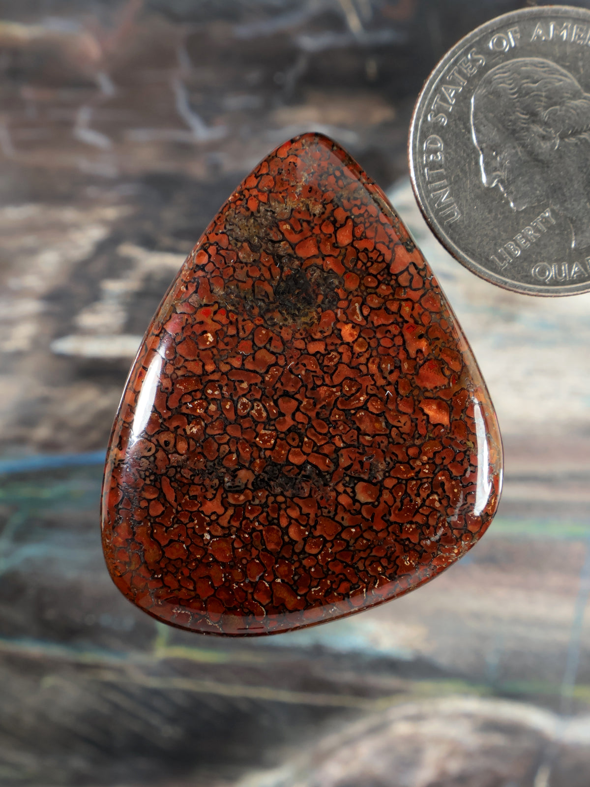 Dinosaur gembone cabochon teardrop with orange-red mottled pattern, polished.