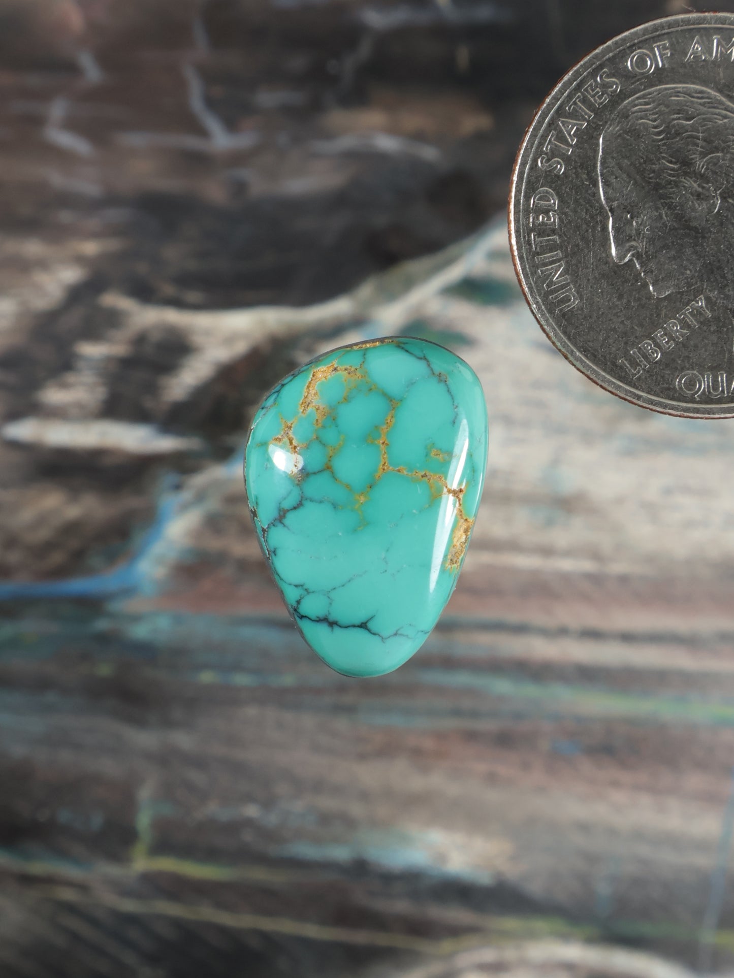 Thunderbird Turquoise Cabochon Q105