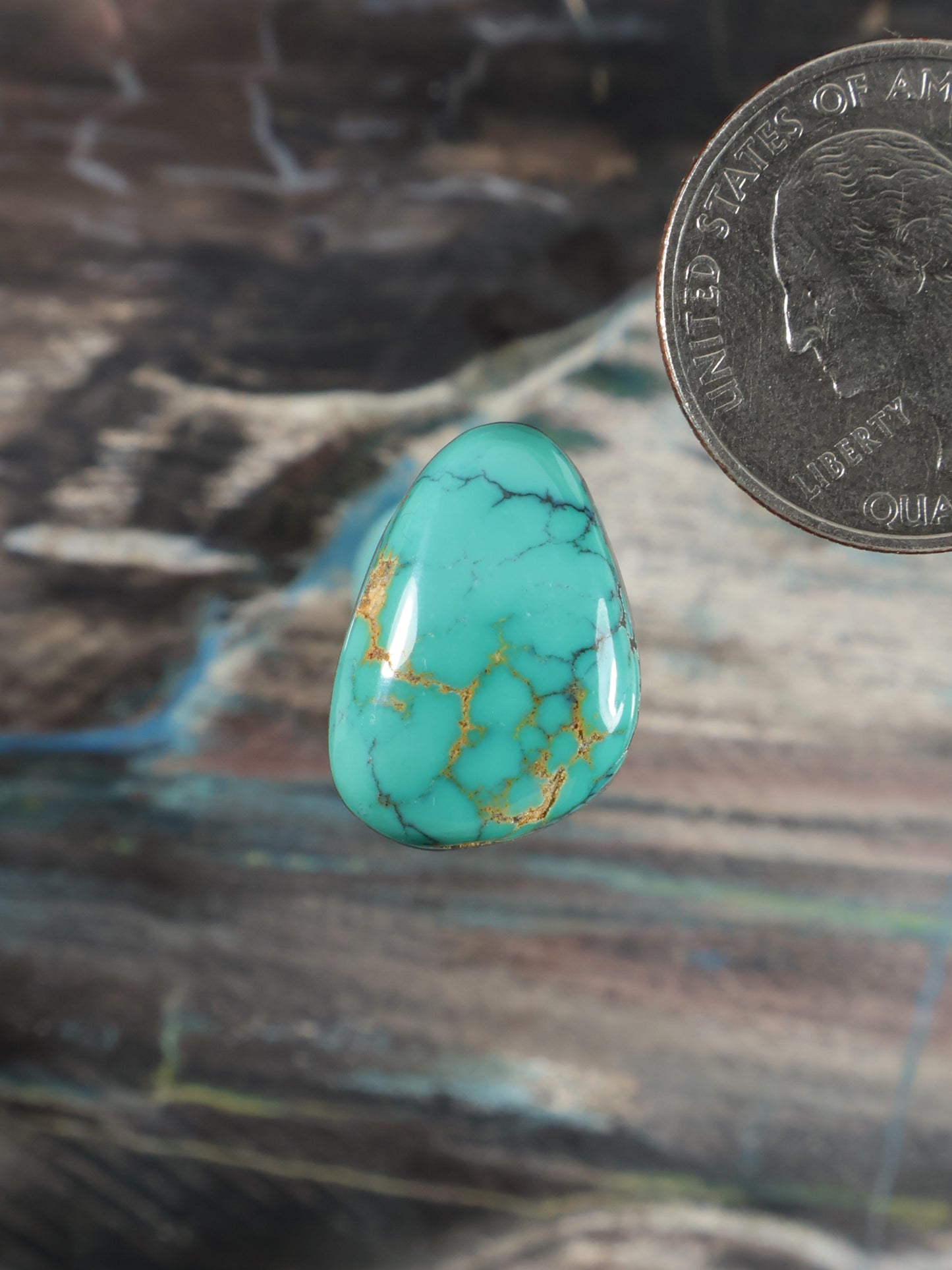 Thunderbird Turquoise Cabochon Q105