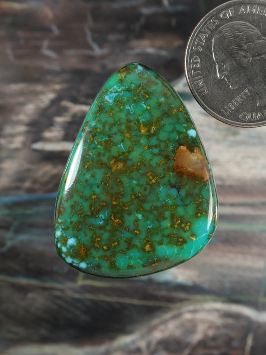 Teardrop turquoise cabochon with green-blue web pattern and brown matrix, polished
