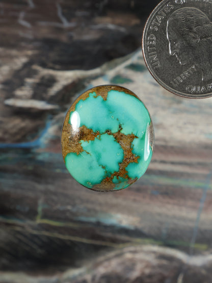 Sonoran Mountain Cabochon Q122