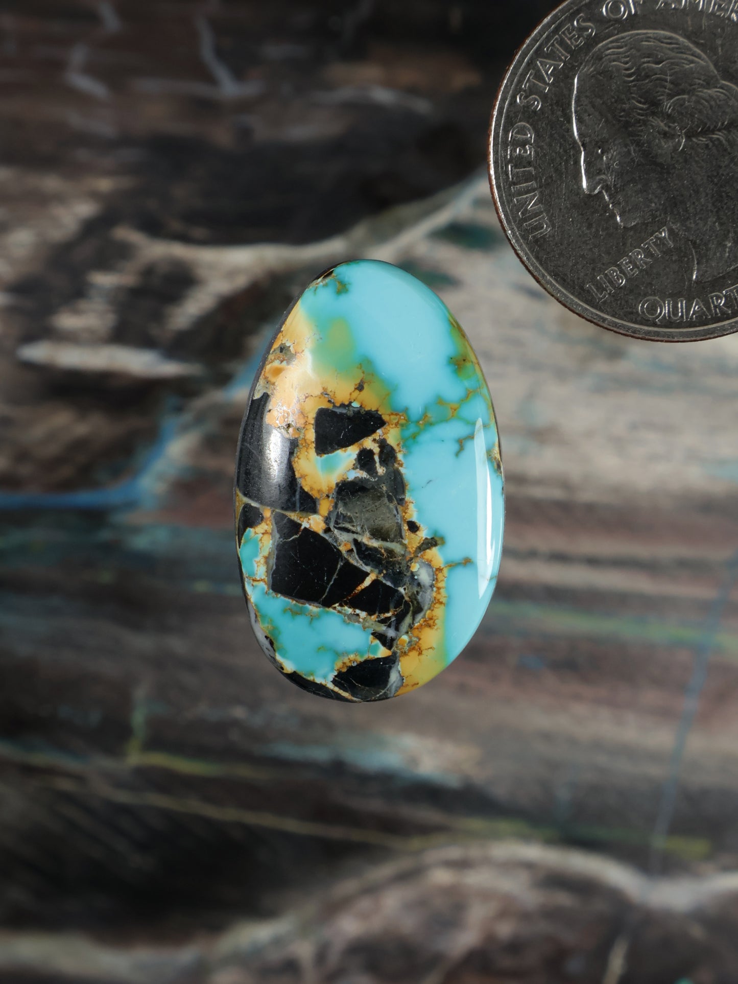 Blue Moon Turquoise Cabochon Q110
