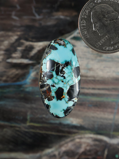 Blue Moon Turquoise Cabochon Q108