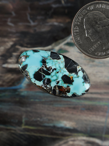 Blue Moon Turquoise Cabochon Q108