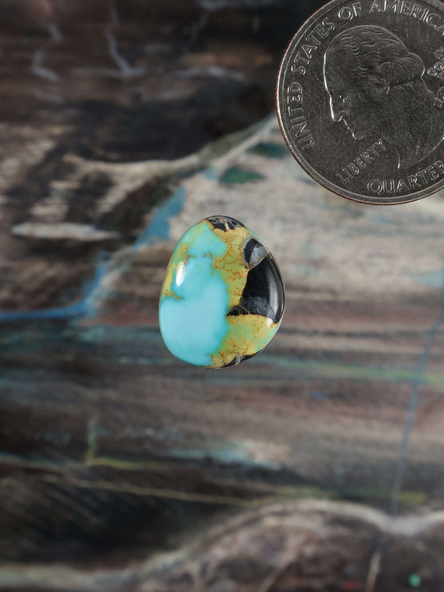 Blue Moon Turquoise Cabochon Q111
