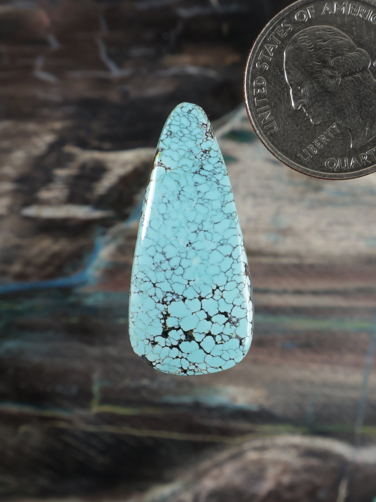 Blue Moon Turquoise Cabochon Q107