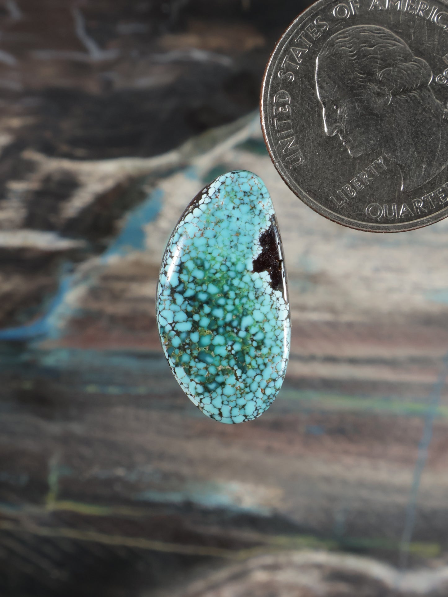 Blue Moon Turquoise Cabochon Q106