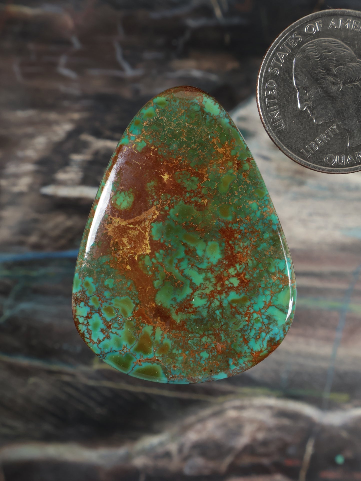 Skyhorse Turquoise Cabochon Q112
