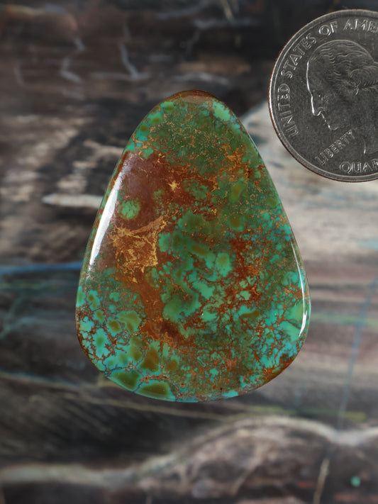 Skyhorse Turquoise Cabochon Q112