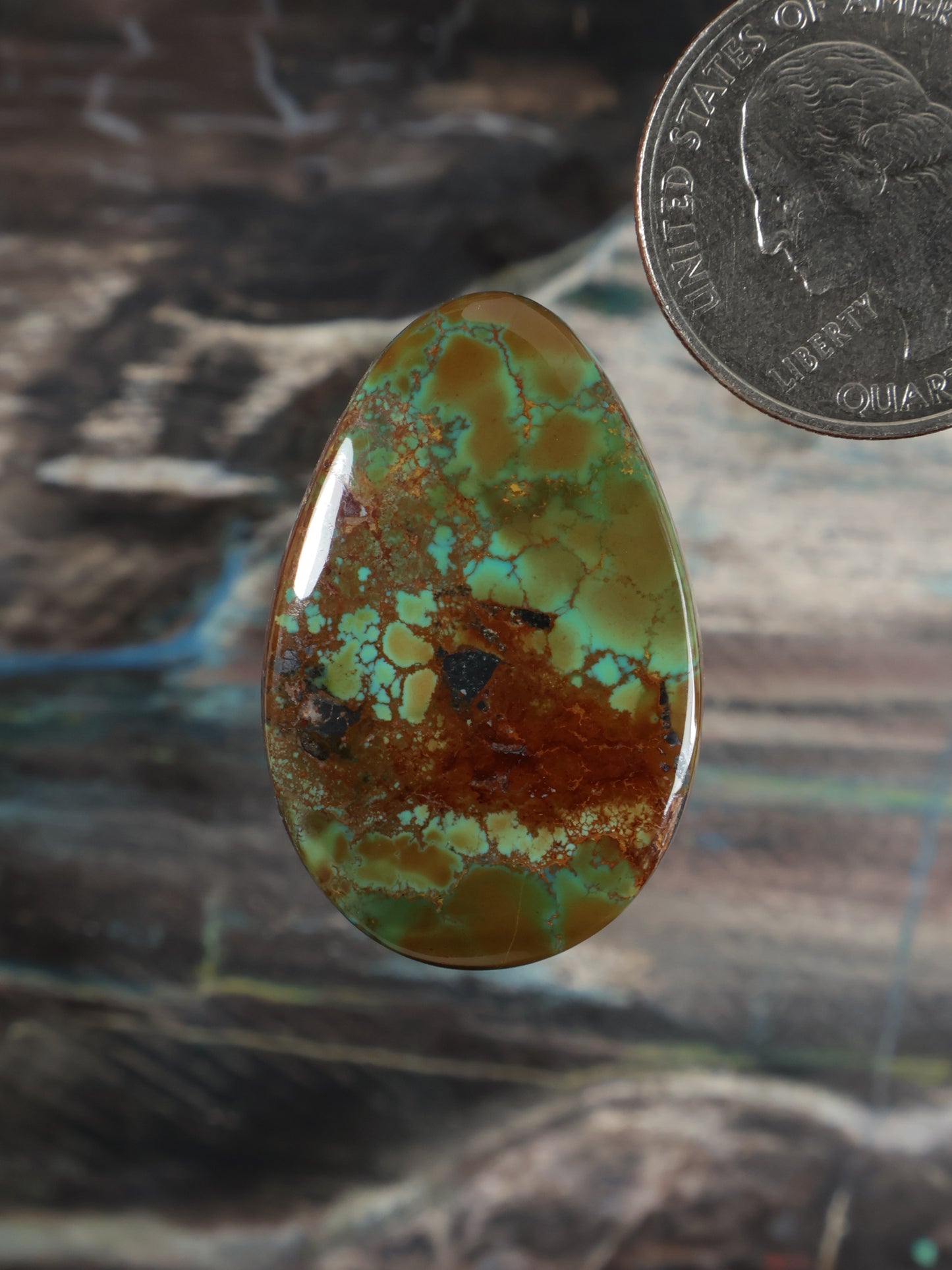 Skyhorse Turquoise Cabochon Q116