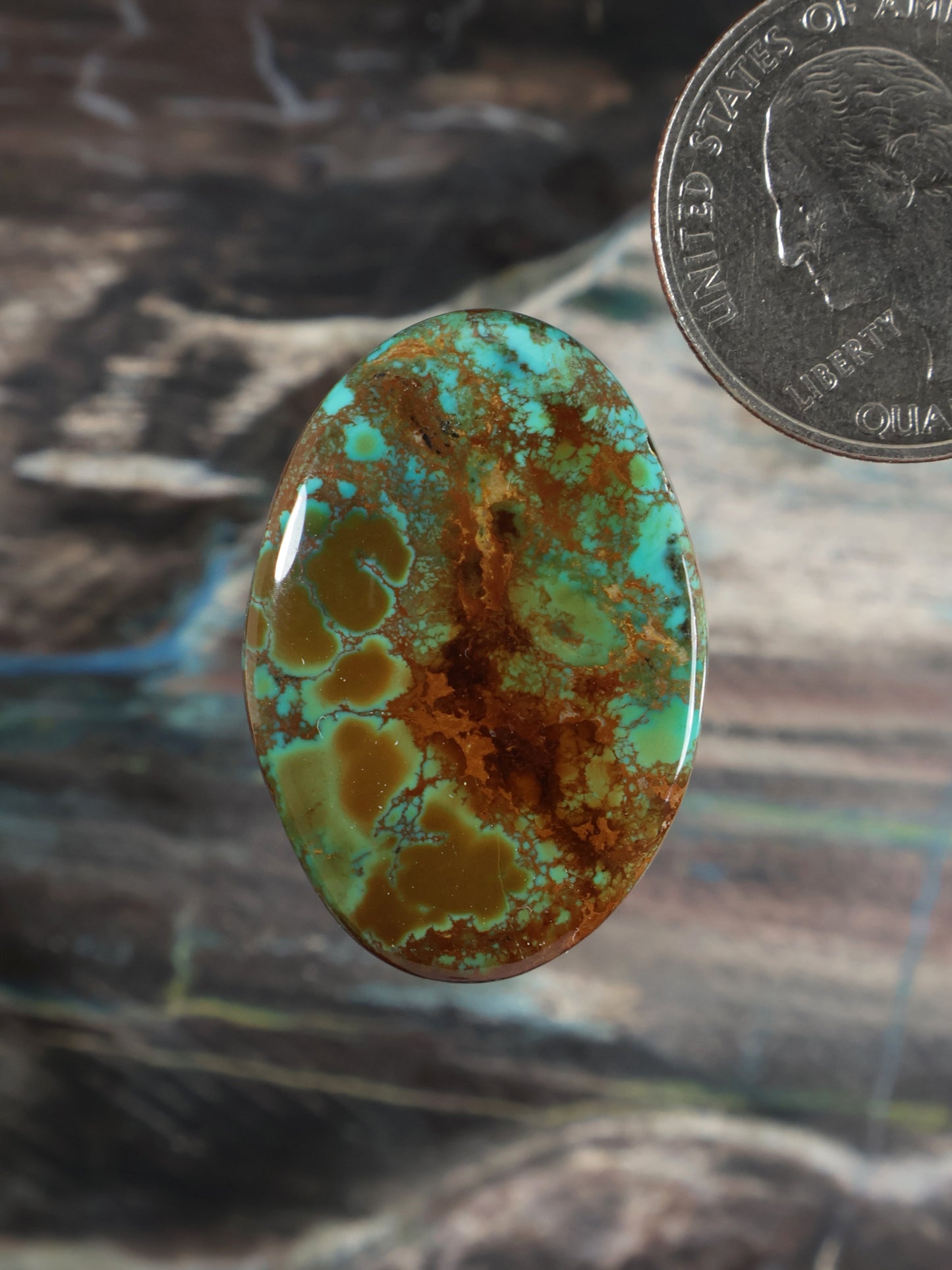 Skyhorse Turquoise Cabochon Q115