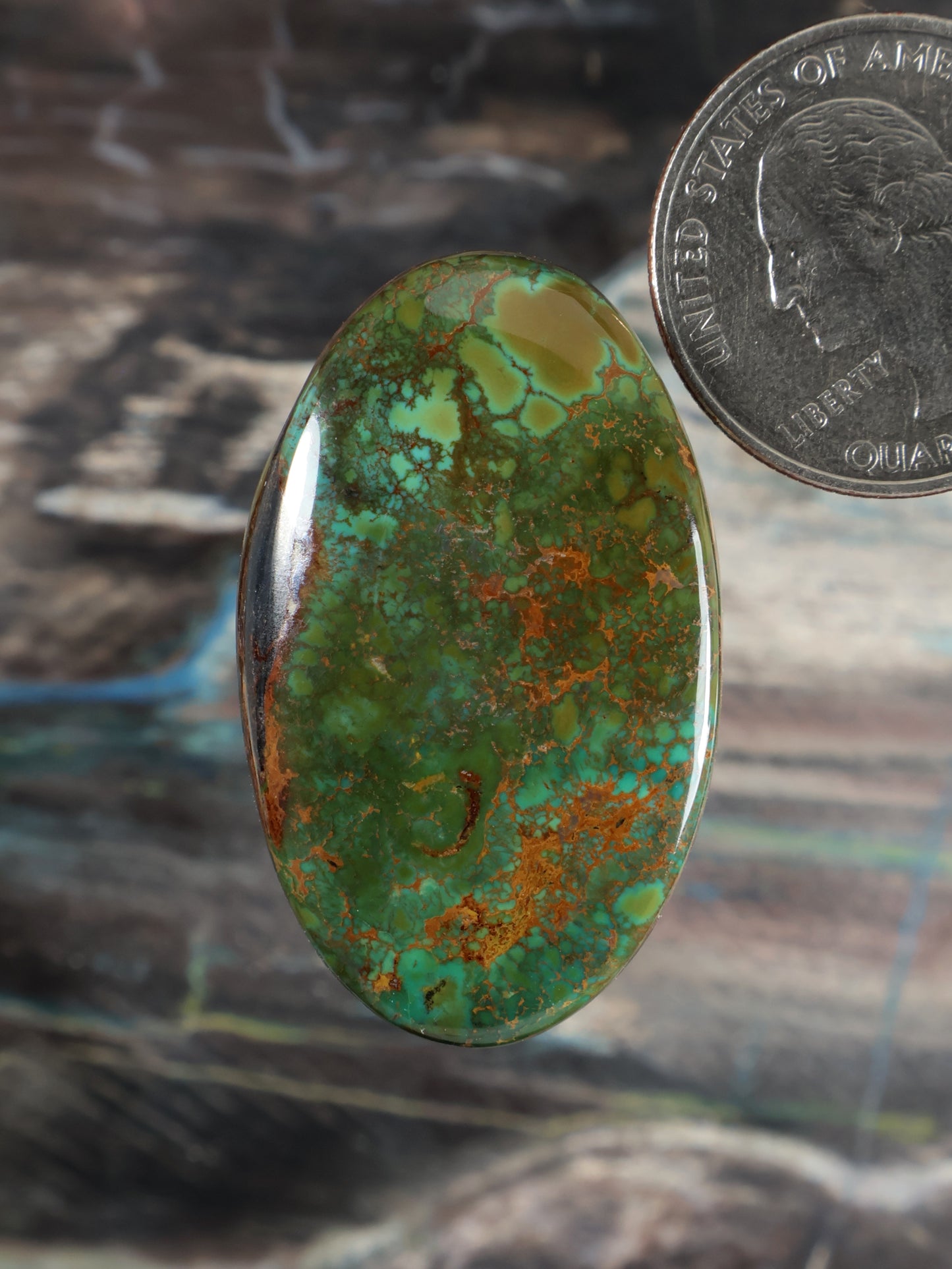 Skyhorse Turquoise Cabochon Q113