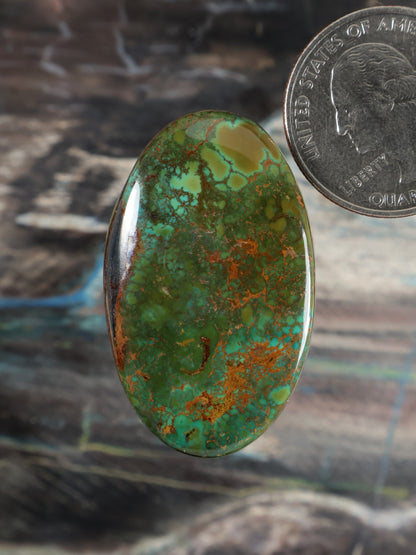 Skyhorse Turquoise Cabochon Q113