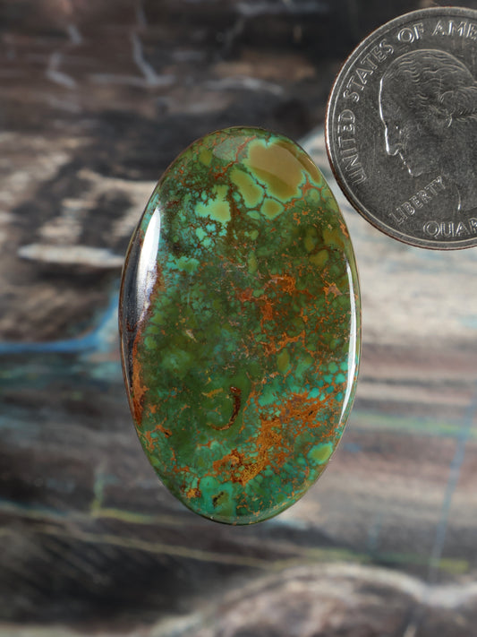 Turquoise cabochon with green and rust matrix, oval gemstone set beside a coin