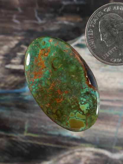 Skyhorse Turquoise Cabochon Q113