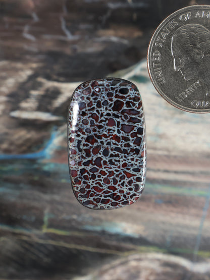 Dinosaur Gembone Cabochon Q072