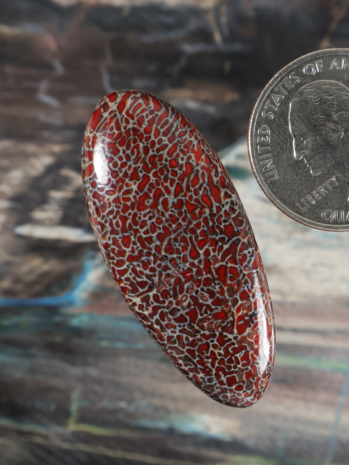Dinosaur gembone cabochon, angled oval red stone with white cracked pattern