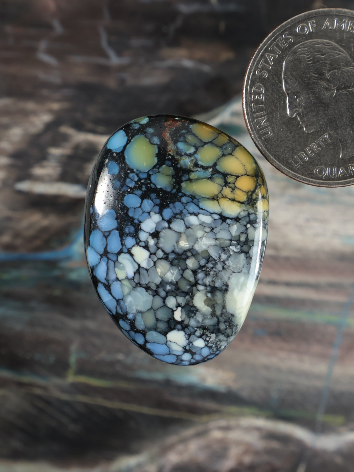 Wild Blue Cabochon Q117