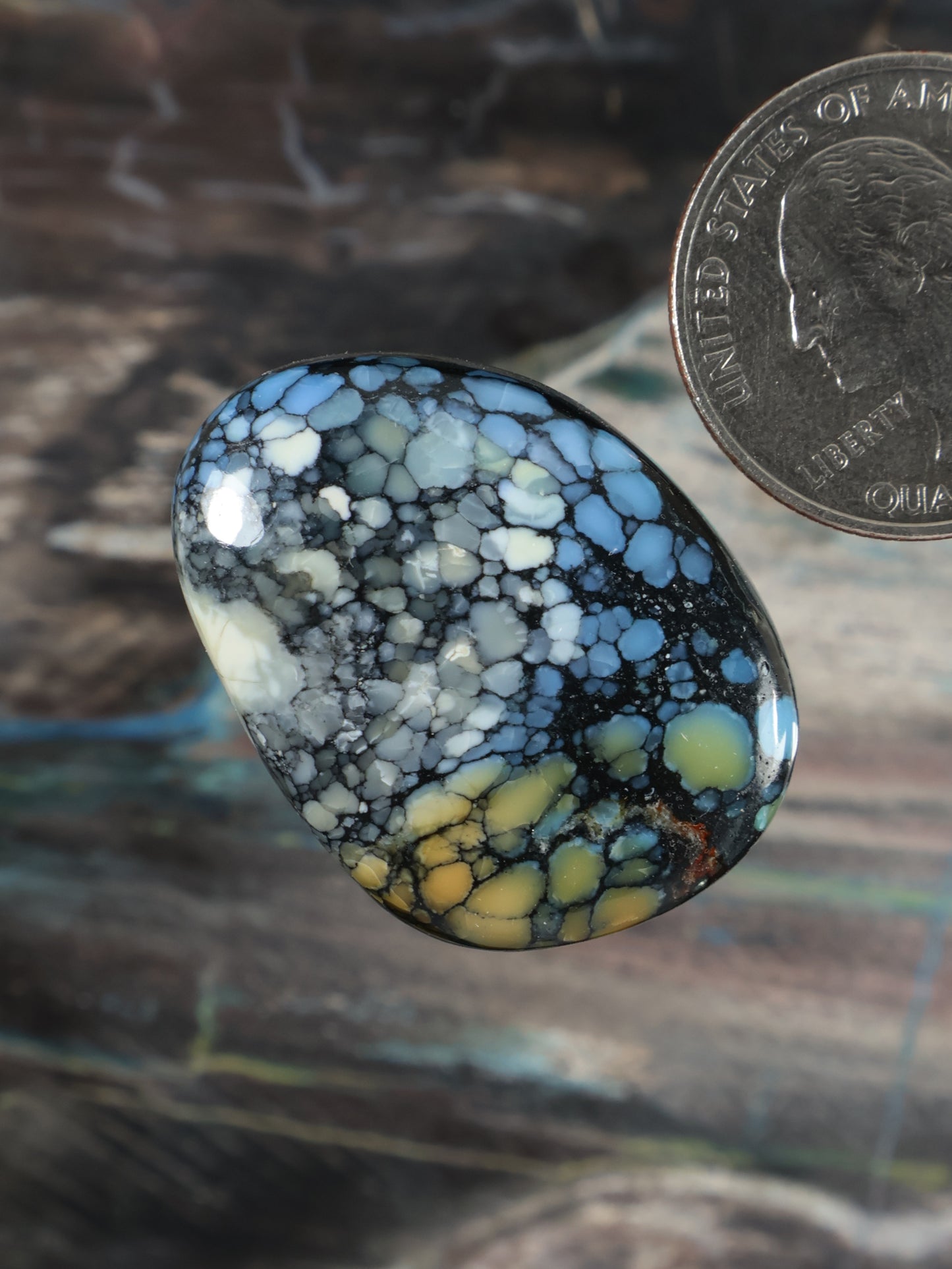 Wild Blue Cabochon Q117