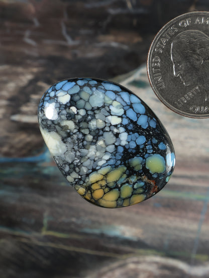 Wild Blue Cabochon Q117