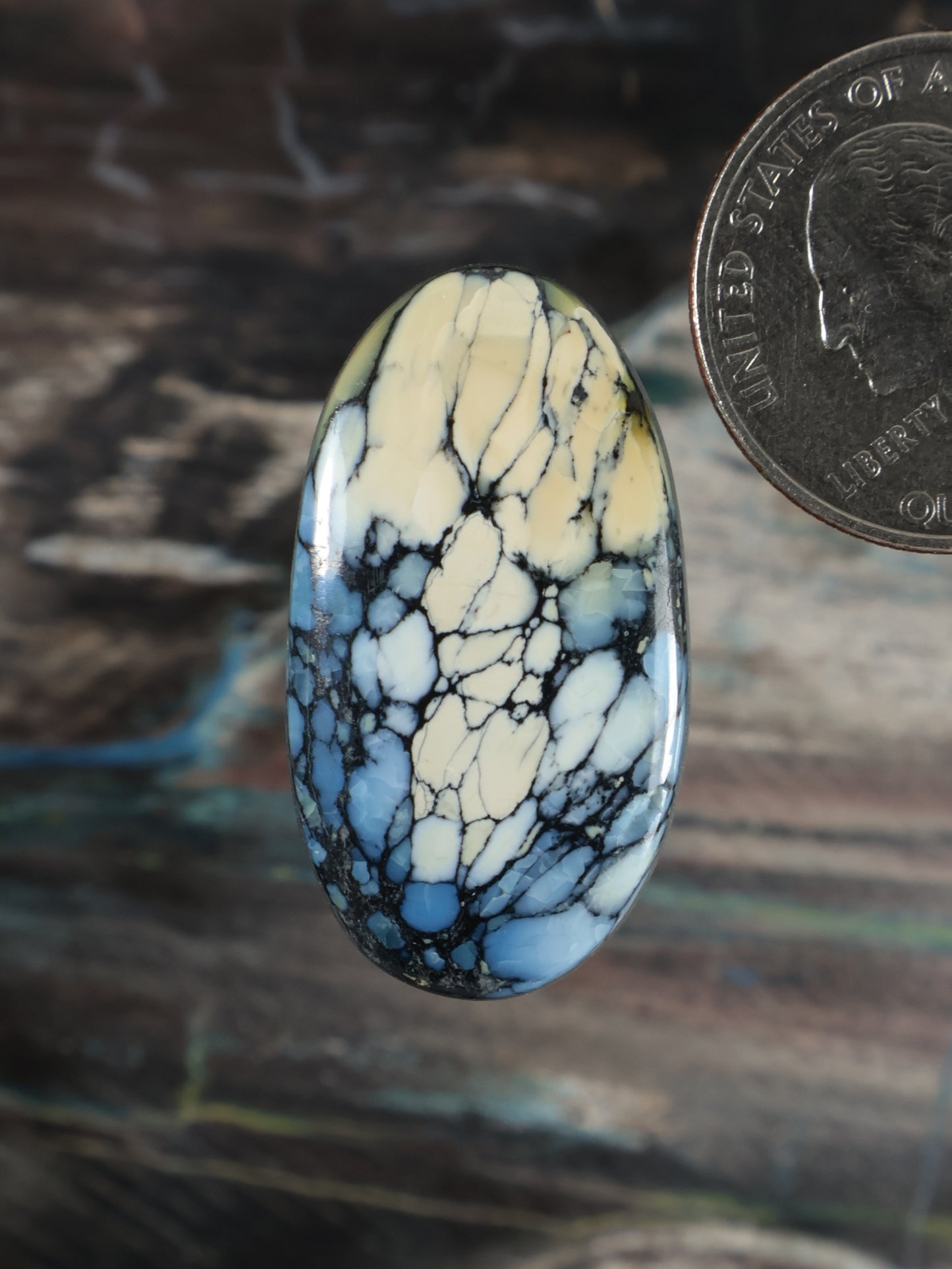 Wild Blue Cabochon Q119