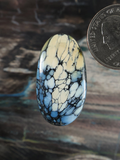 Wild Blue Cabochon Q119