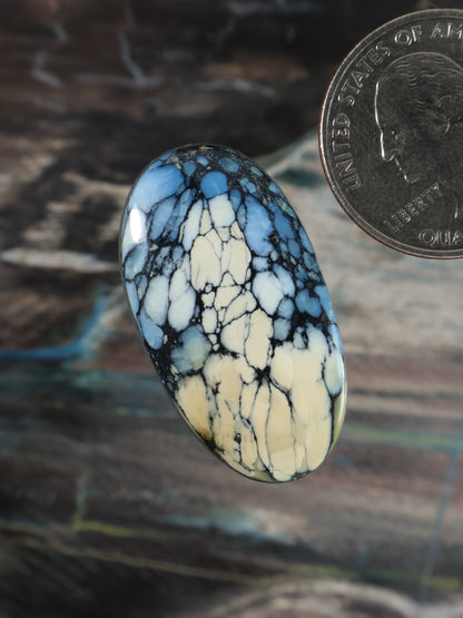 Wild Blue Cabochon Q119