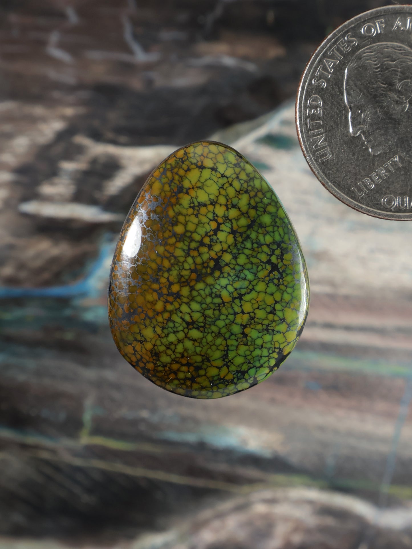 Dragonskin Turquoise Cabochon Q124