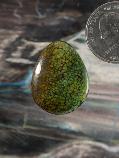 Dragonskin Turquoise Cabochon Q124