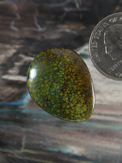 Dragonskin Turquoise Cabochon Q124