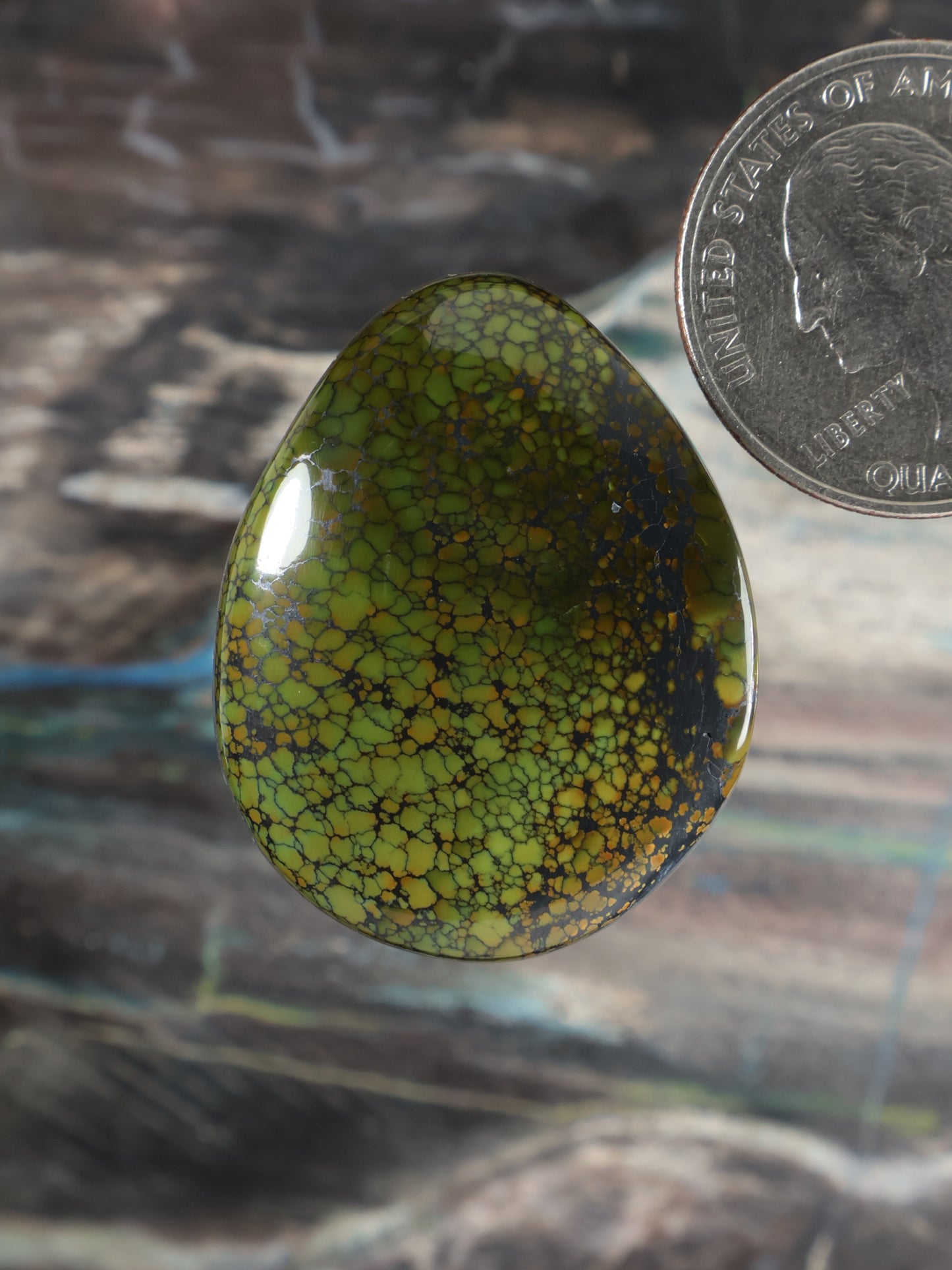 Dragonskin Turquoise Cabochon Q125