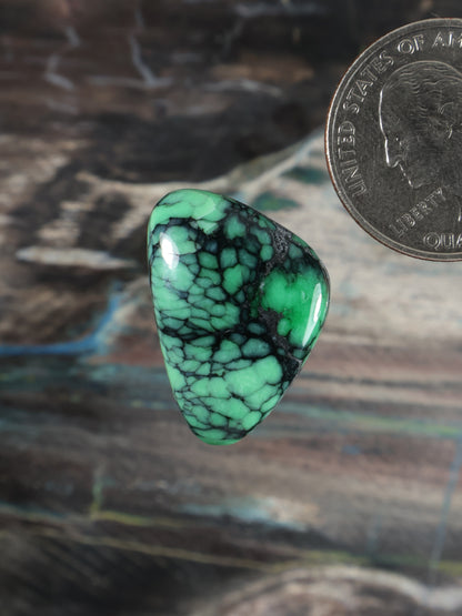 Natural Emerald Rose Variscite Cab B700