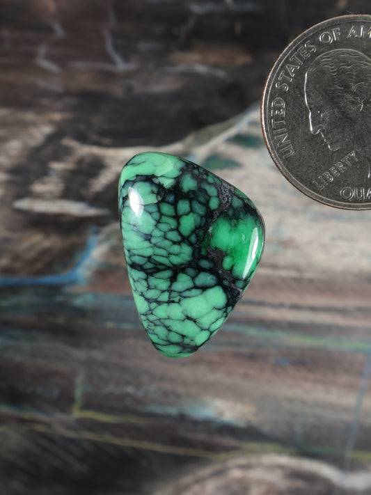 Oval green variscite cabochon with black vein pattern and polished shine