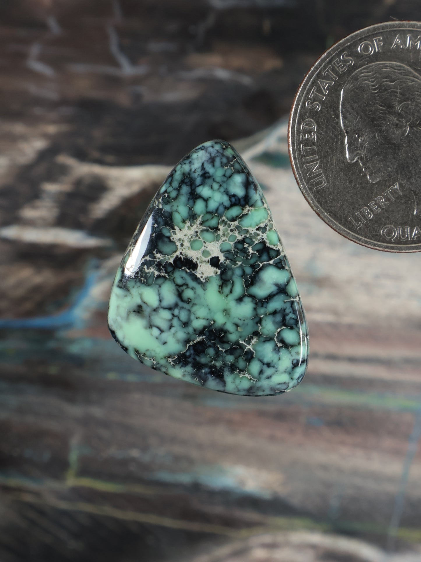Angel Wing Variscite Cabochon Q104