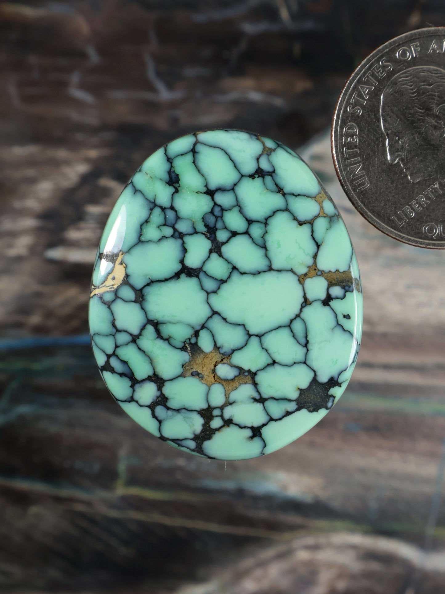 Angel Wing Variscite Cabochon B703