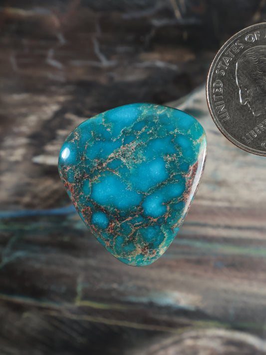 Ma'anshan Turquoise Cabochon Q071