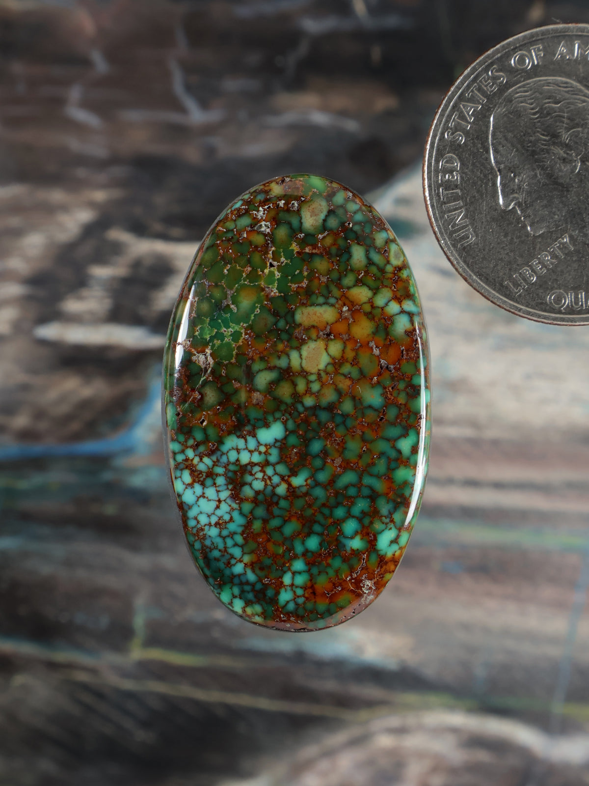Patagonia turquoise web-pattern cabochon gemstone, oval, green and brown matrix