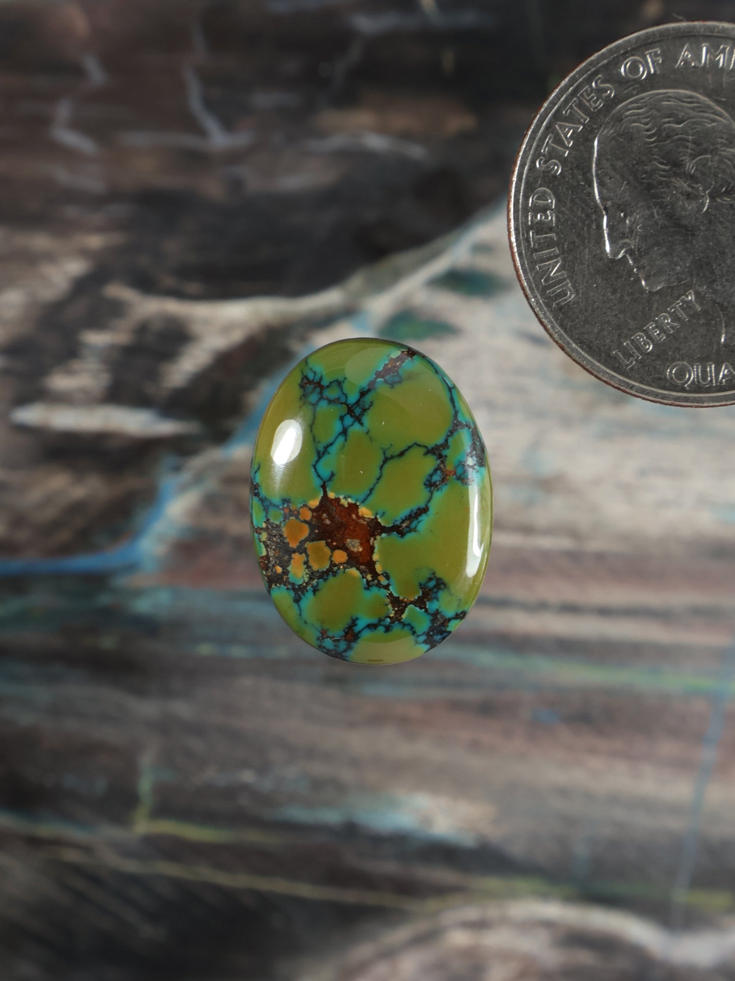 Skyhorse Turquoise Cabochon Q078