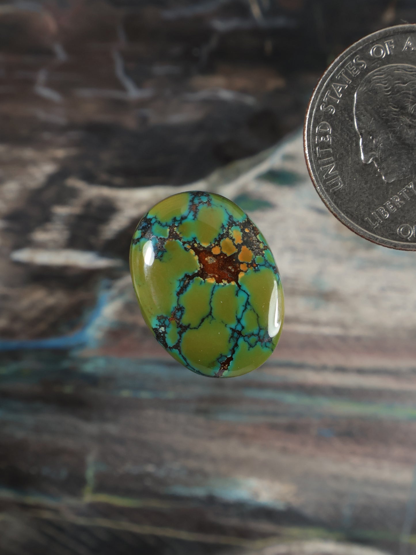 Skyhorse Turquoise Cabochon Q078