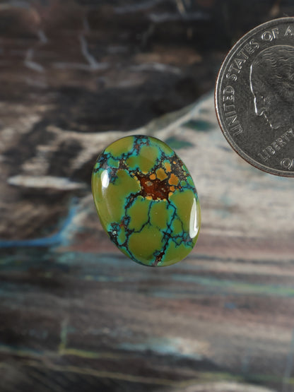 Skyhorse Turquoise Cabochon Q078