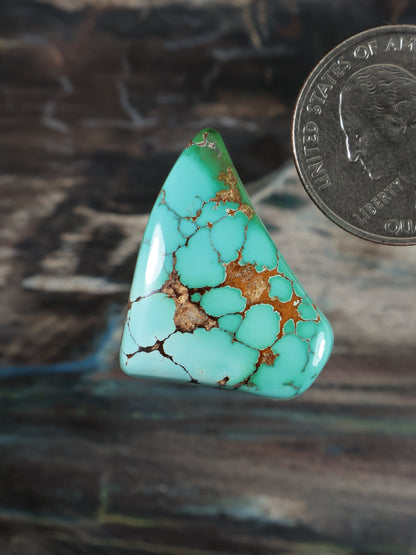Turquoise cabochon gemstone, teardrop-like triangle, brown matrix webbing