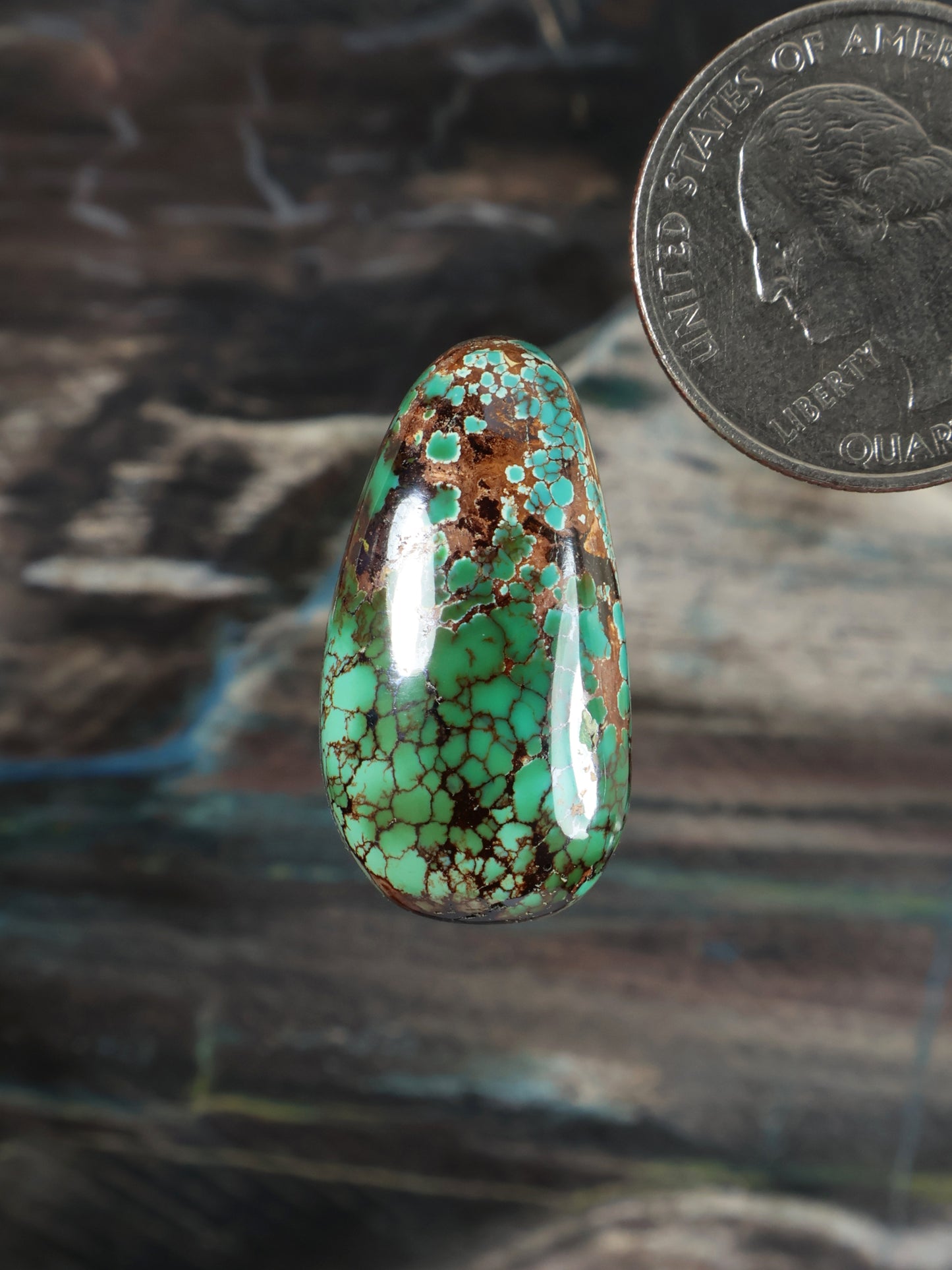 Turquoise cabochon gemstone, oval with green-blue crackle matrix and brown veining