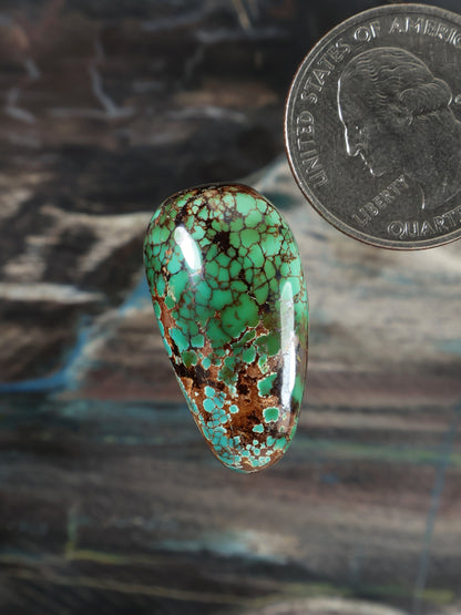 Turquoise cabochon gemstone with green-blue cracked pattern, teardrop oval