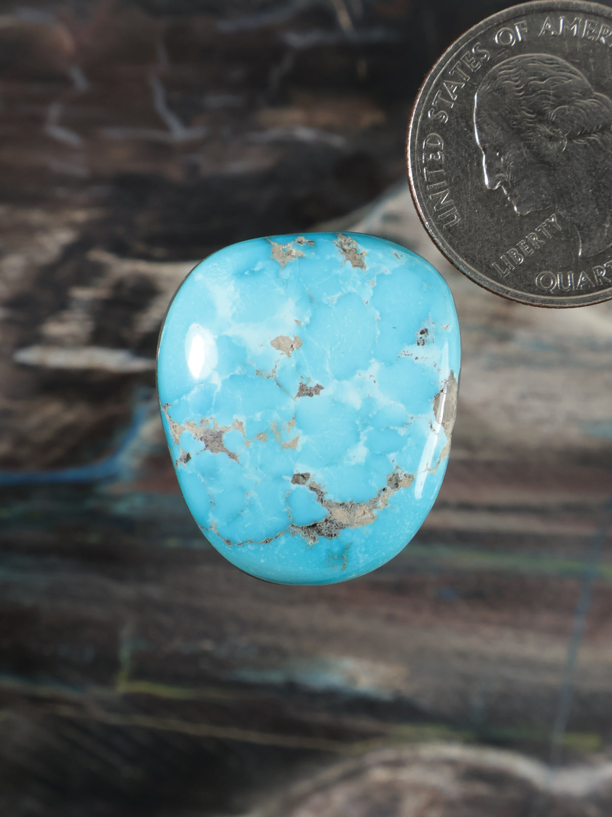 Oval turquoise cabochon with tan web-like pattern and smooth polished face.